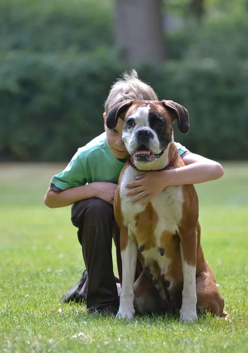Remédios Naturais para Doença Cardíaca em Cães