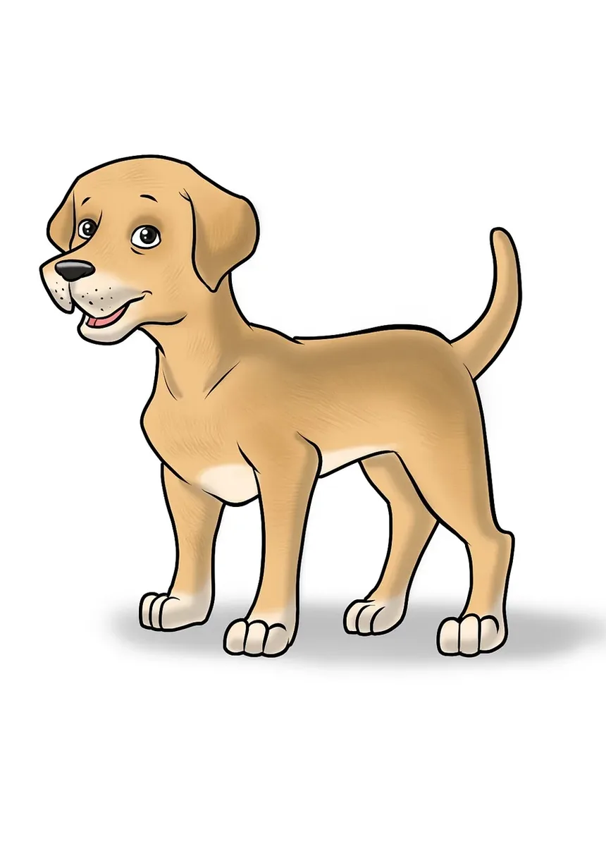 Sinais de Colite por Estresse em Cães: Compreendendo os Sintomas e Soluções