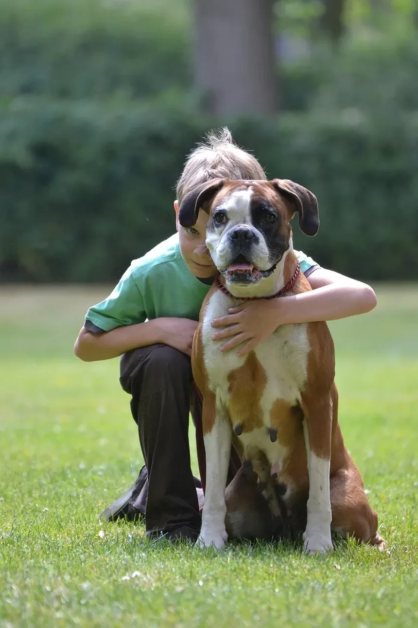 Quais Legumes São Tóxicos para Cães?